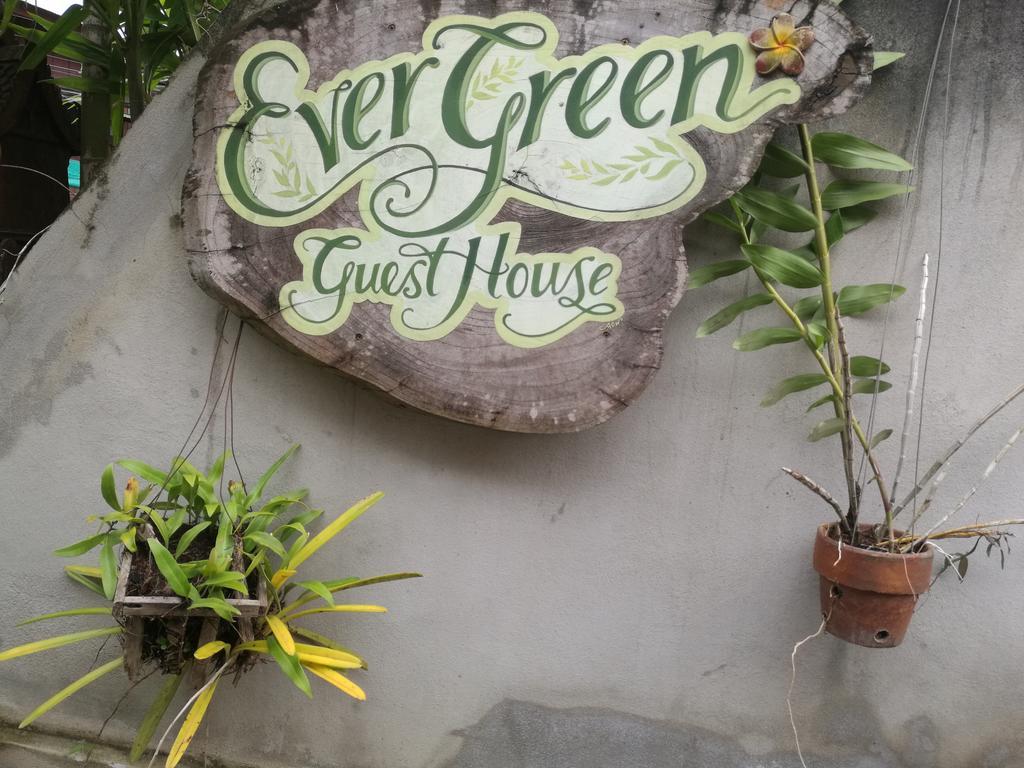 Ever Green Guest House - Sha Plus Pai Dış mekan fotoğraf
